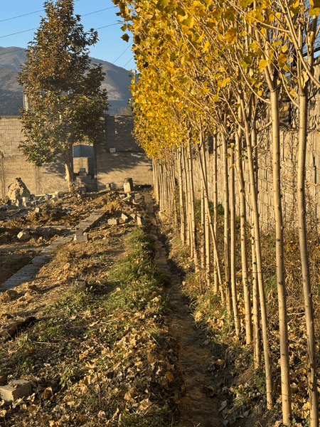 نمونه کار مشاوره و سرمایه گذاری در پروژه های باغ ویلا شماره ۳